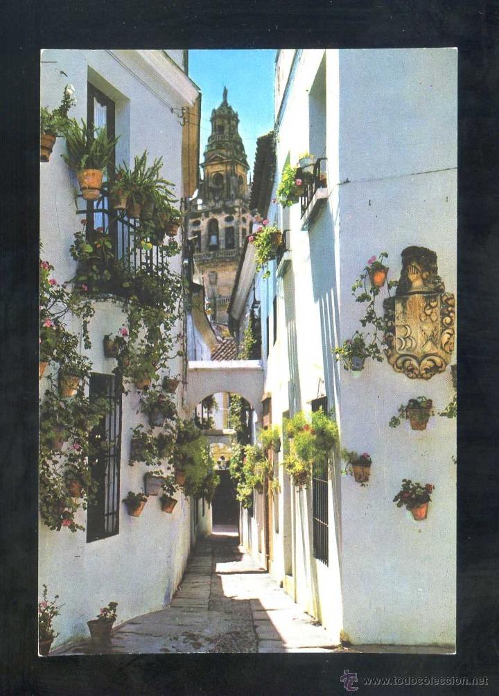 Postales: C&oacute;rdoba *Calle...* Ed. G. Garrabella - SRC n&ordm; 31. Nueva.