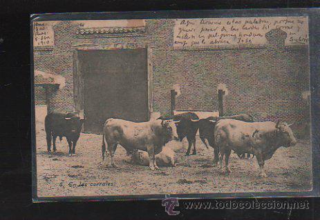 Postcards: TARJETA POSTAL DE ANDALUCIA - COLECCION LIDIA. 4. EN LOS CORRALES. FOTO LACOSTE