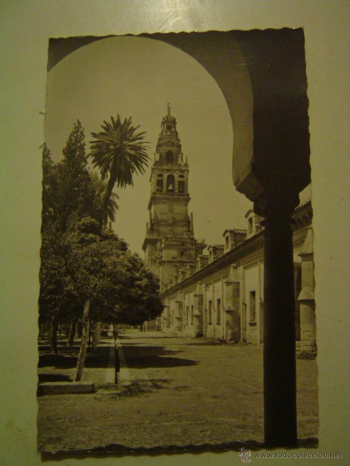 Postales: POSTAL DE C&Oacute;RDOBA-25.- PATIO DE LOS NARANJOS Y TORRE DE LA CATEDRAL.