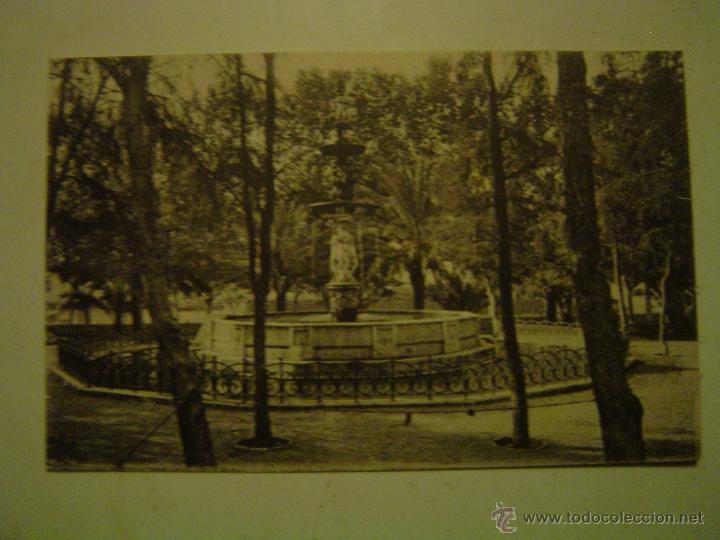 Postales: POSTAL DE M&Aacute;LAGA-91.- PARQUE- FUENTE DE LOS CISNES.