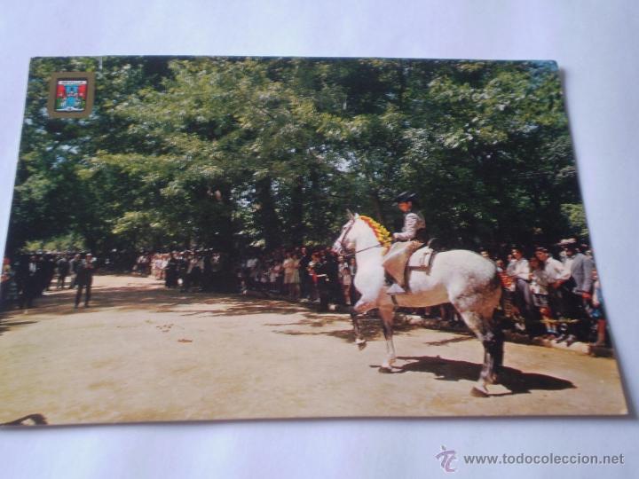 Postales: ANTIGUA POSTAL FERIA ABRIL DE SEVILLA.CABALLISTA A LA AMAZONA.A&Ntilde;OS 70