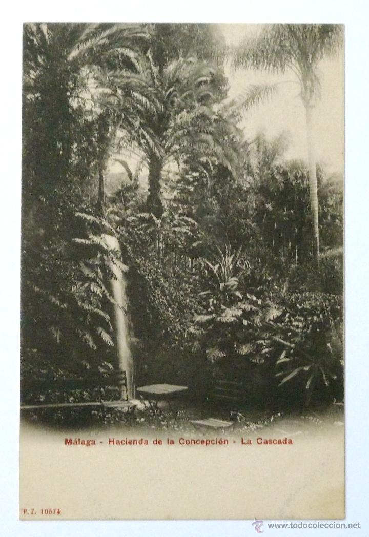 Postales: ANTIGUA POSTAL DE MALAGA. P. Z. 10574. HACIENDA DE LA CONCEPCI&Oacute;N - LA CASCADA.