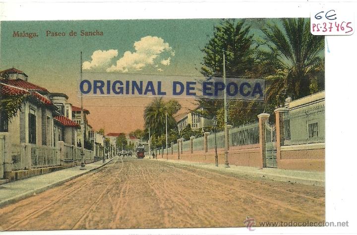 Postales: (PS-37465)POSTAL DE MALAGA-PASEO DE SANCHA