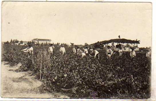 Postales: Postal fotogr&aacute;fica Malaga 1914 trabajadores del campo. Circulada, no figura fot&oacute;grafo.