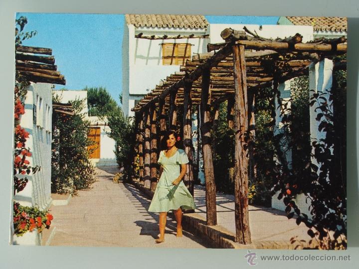 Sabueso Empírico error postal de cádiz. año 1978. puerto de santa marí - Buy Postcards from  Andalusia on todocoleccion