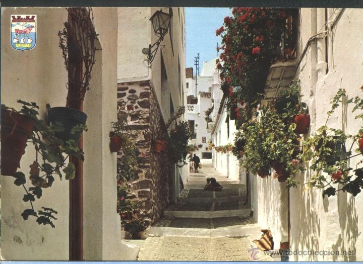 Postales: ALMU&Ntilde;ECAR - CALLE TIPICA
