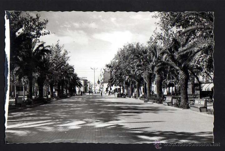 Postales: Linares. Paseo de Linarejos. No circulada