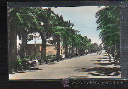 Postcards: TARJETA POSTAL PUERTO DE SANTA MARIA, CADIZ - PARQUE CALDERON. 10. GARCIA GARRABELLA