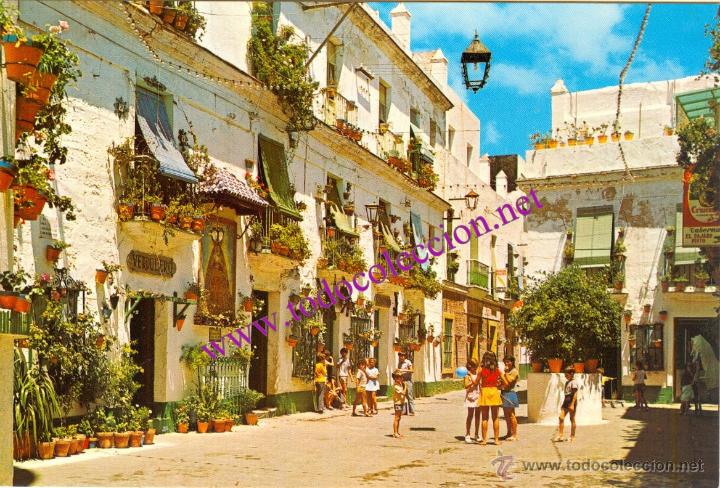 Postales: CADIZ (ANDALUCIA) - PLAZA TIO DE LA TIZA (POSTAL DE 1967). SIN CIRCULAR