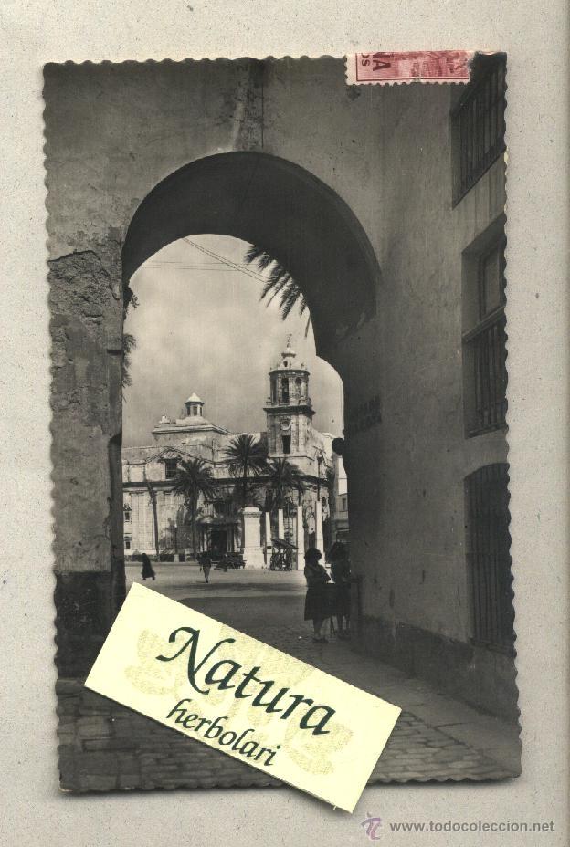Postales: Postal Cadiz / Arco de la rosa e iglesia de Santiago / Garcia Garrabella / Circulada con sellos