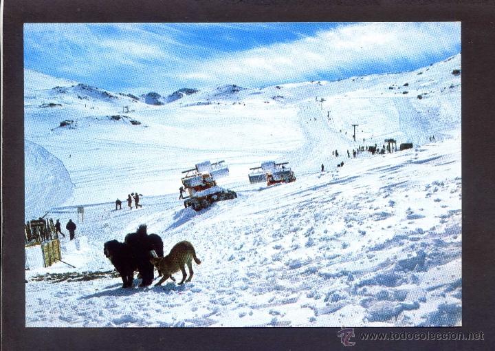 Postales: Sierra Nevada. *Vista general...* Ed. F. Gallegos n&ordm; 1206. Escrita.