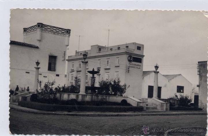 Postales: MANCHA REAL (JAEN).- TRABAJOS FOTOGR&Aacute;FICOS MICHFER
