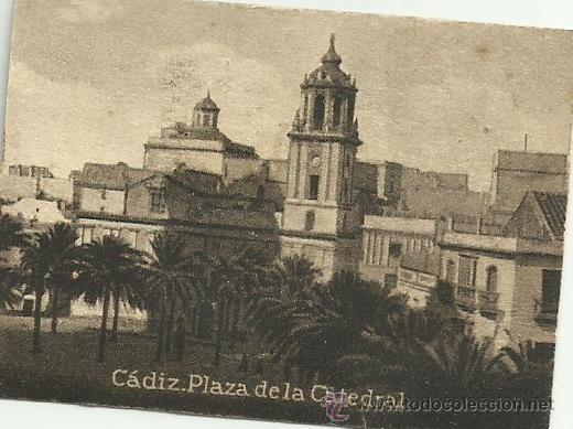 Cartoline: POSTAL ORIGINAL DECADA DE LOS 30. CADIZ. N&ordm; 783. PLAZA DE LA CATEDRAL. VER TAMA&Ntilde;O Y EXPLICACION
