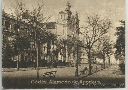 Postcards: POSTAL ORIGINAL DECADA DE LOS 30. CADIZ. N&ordm; 790. ALAMEDA DE APODACA. VER TAMA&Ntilde;O Y EXPLICACION