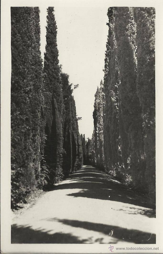 Postales: GRANADA GENERALIFE SIN ESCRIBIR - Foto 1