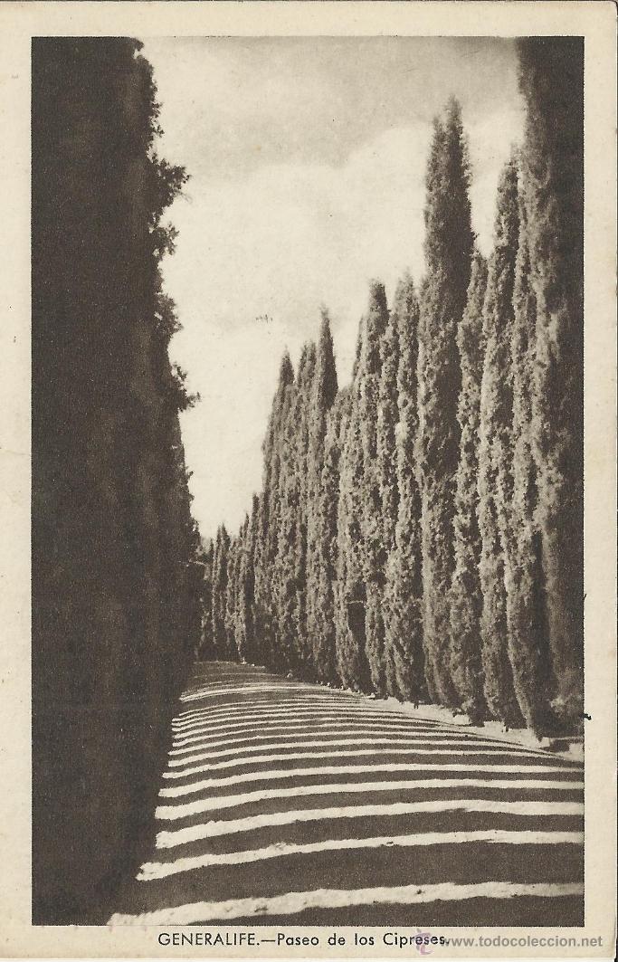 Postales: GRANADA GENERALIFE ESCRITA - Foto 1