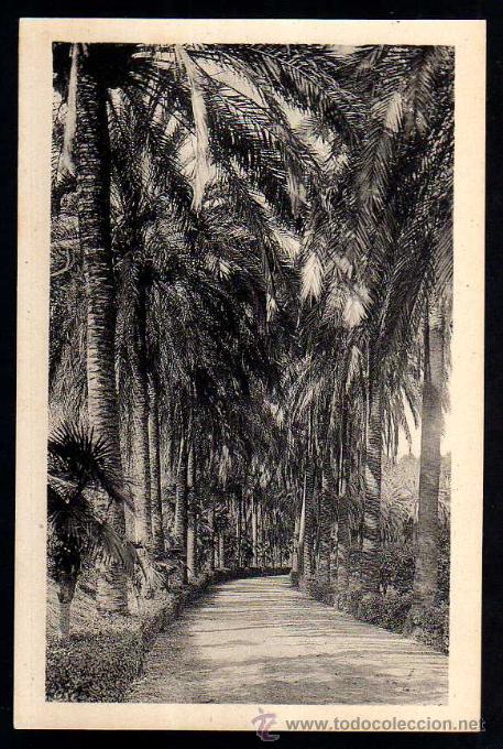 Postales: M&aacute;laga . Parque. No circulada. - Foto 1