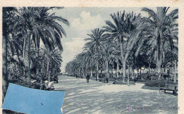Postales: CADIZ