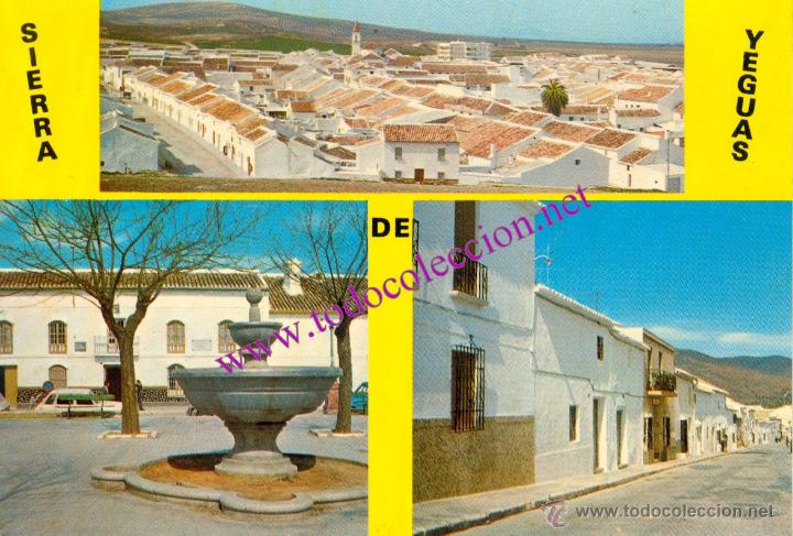 Postales: SIERRA DE YEGUAS (MALAGA) - POSTAL DE 1973