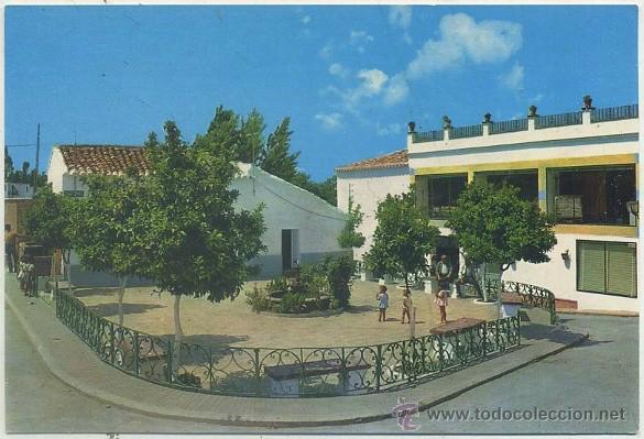 Postales: POSTAL DE EL BOSQUE . CADIZ. PLAZA ALVARO DOMECQ N&ordm; 4704   P-ANBOSQUE-009