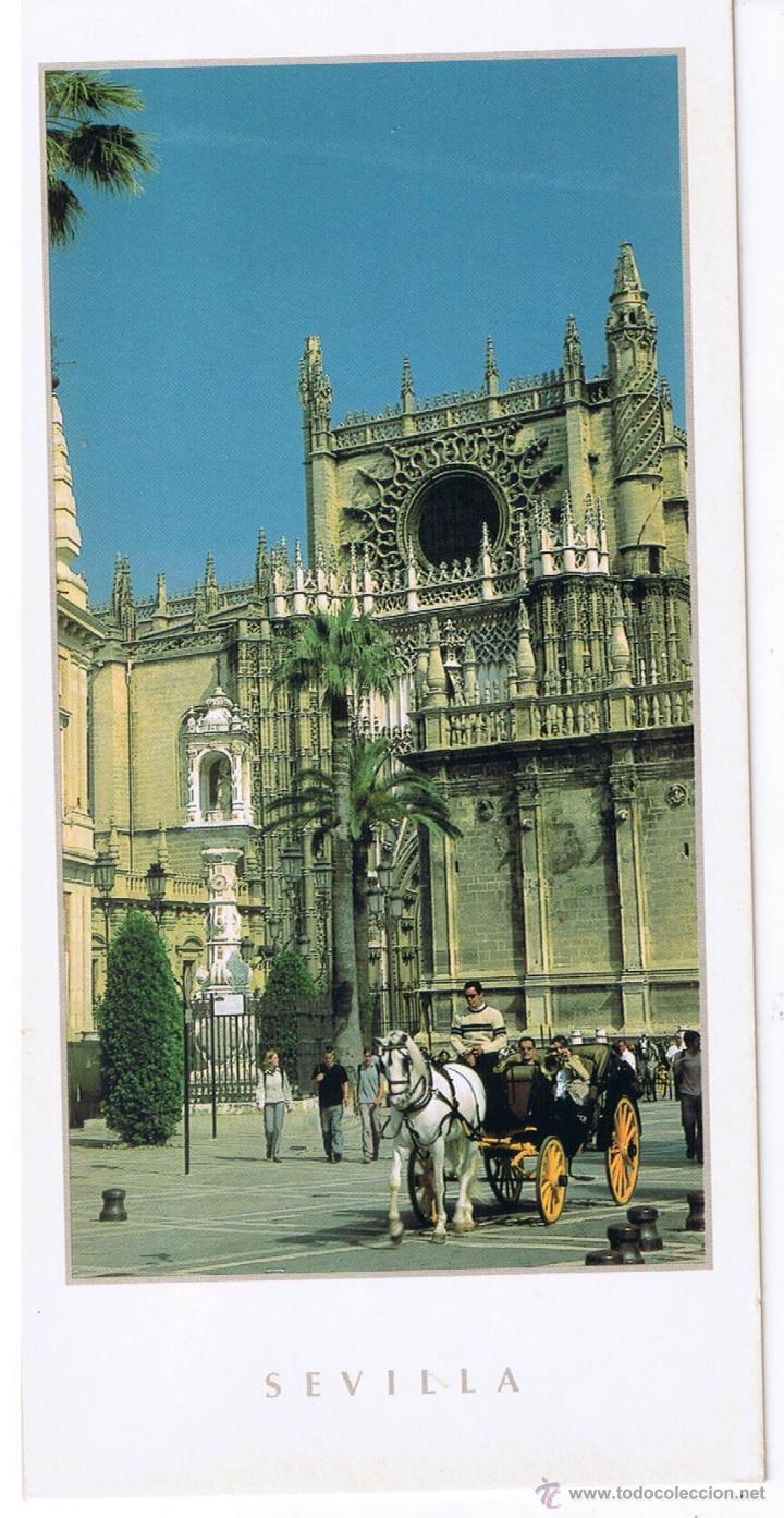 Postales: POSTAL: CATEDRAL.  SEVILLA - Foto 1