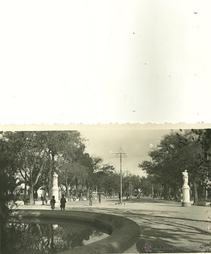Postales: PUERTO DE SANTA MARIA (C&Aacute;DIZ).- PASEO DE LA VICTORIA