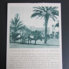 Postales: POSTAL CÁDIZ. PLAZA DE ALFONSO XII. JEREZ DE LA FRONTERA. . Lote 42051877