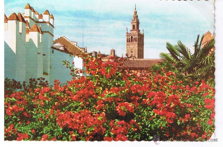 Postales: POSTAL: SEVILLA. LA GIRALDA - Foto 1