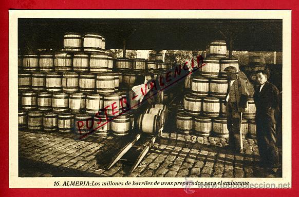 Postales: POSTAL ALMERIA, LOS MILLONES DE BARRILES DE UVAS PREPARADOS PARA EL EMBARQUE, P93063