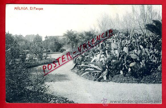 Postales: POSTAL MALAGA, EL PARQUE, P93171