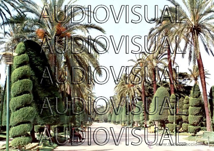 Postales: POSTAL PARQUE DE GENOVES - PASEO DE LAS PALMERAS - CADIZ - N&ordm; 38 -1967 (X) - ESCRITA