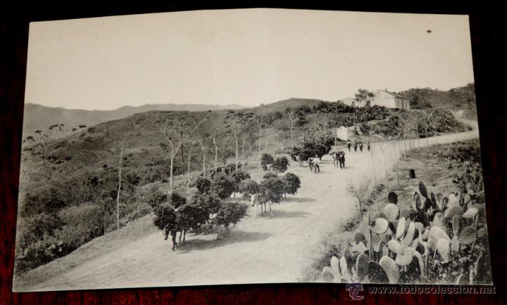 Postales: POSTAL DE MALAGA, CAMINO DE COLMENAR, N. 96, ED. L. ROISIN, NO CIRCULADA.