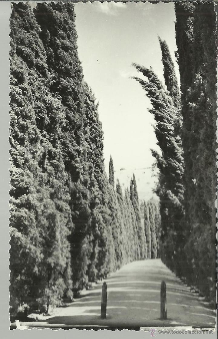 Postales: GRANADA LA ALHAMBRA SIN ESCRIBIR - Foto 1