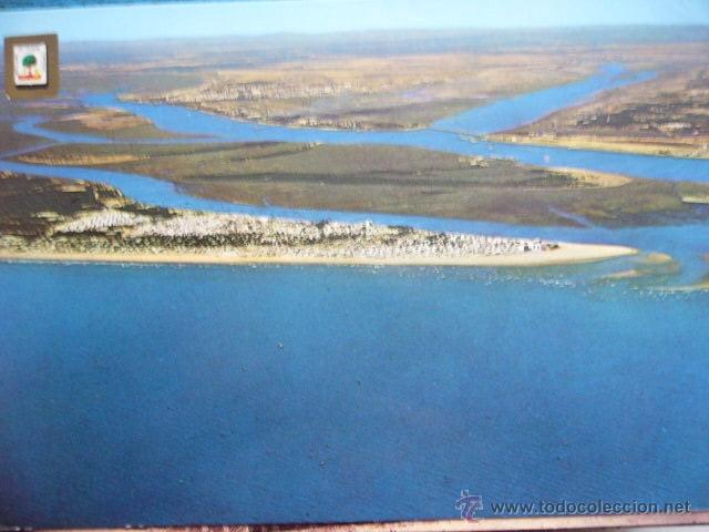 Postales: PUNTA UMBRIA.  N&ordm; 3. ESCUDO DE ORO.  CIRCULADA.