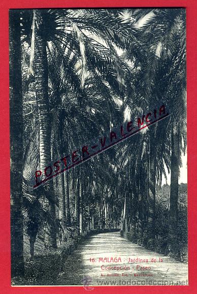 Postales: POSTAL MALAGA, JARDINES DE LA CONCEPCION, PASEO, P94838