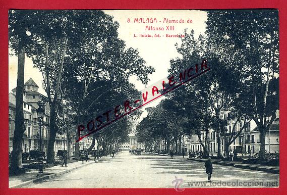 Postales: POSTAL MALAGA, ALAMEDA DE ALFONSO XIII, P94846