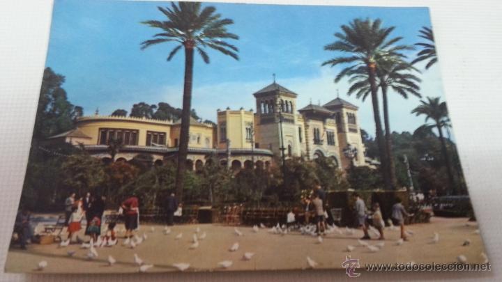 Postales: SEVILLA-PLAZA DE AMERICA-N&ordm; 313-SIN CIRCULAR-2048 129.