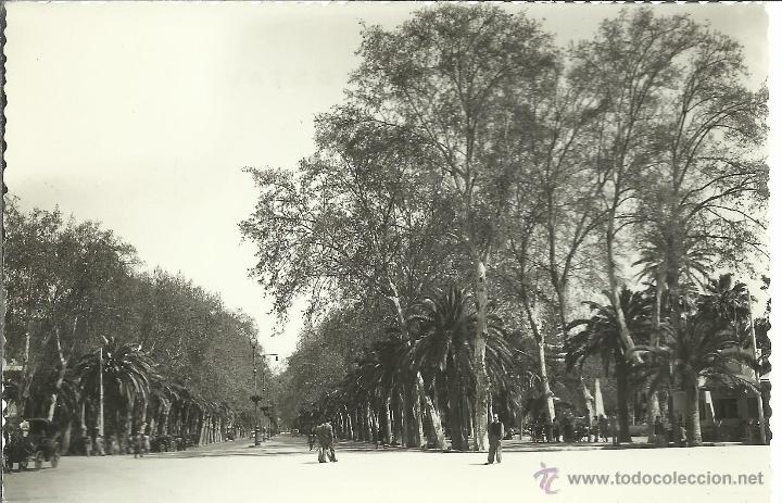 Postales: MALAGA PARQUE SIN ESCRIBIR