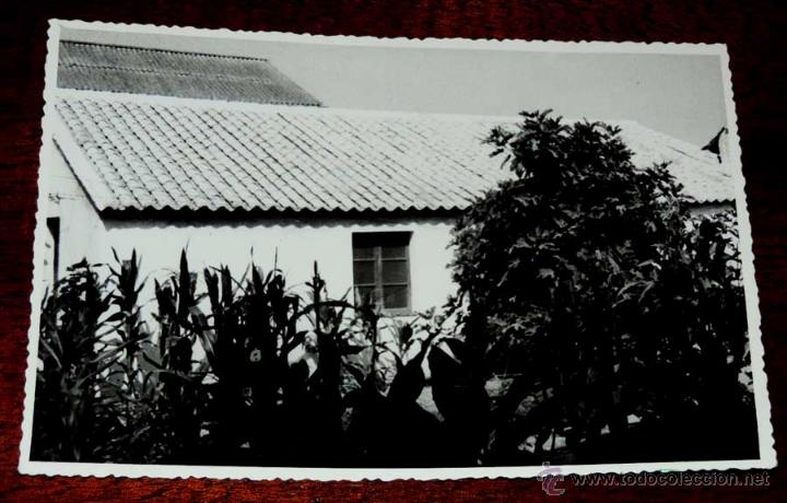 Postales: FOTOGRAFIA DE LOPERA (JAEN), ALMACEN DE ABASTOS, 1950 APROX. MIDE 17,58 X 11,6 CMS. APROX