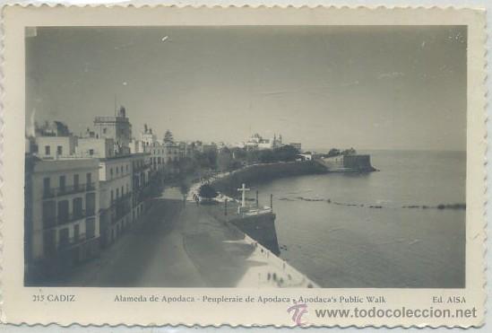Postales: POSTAL DE CADIZ. ALAMEDA DE APODACA  P-ANC-530