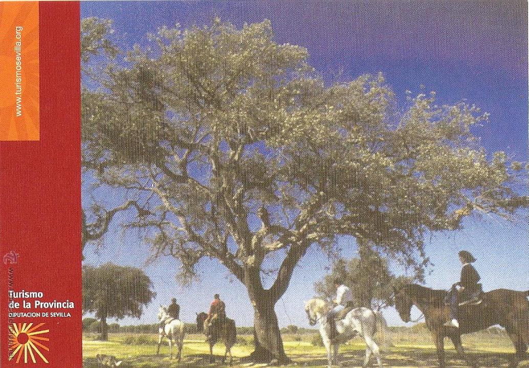 Postkarten: POSTAL SEVILLA, ED. DIPUTACI&Oacute;N DE SEVILLA, REVERSO IMPRESO, SIN CIRCULAR