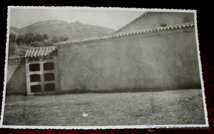 Postales: FOTOGRAFIA DE VALDEPE&Ntilde;AS DE (JAEN), NICHOS DEL CEMENTERIO, 1950 APROX. MIDE 17,58 X 11,6 CMS. APROX.