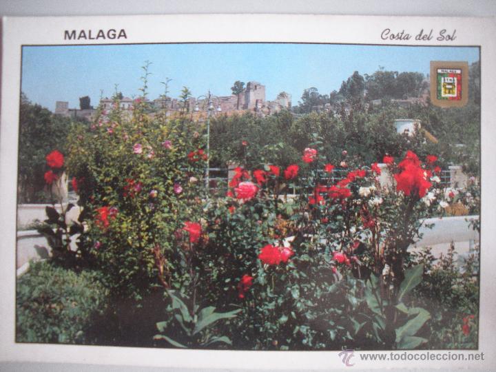Postales: MAGNIFICA POSTAL DE - MALAGA -ALCAZABA -