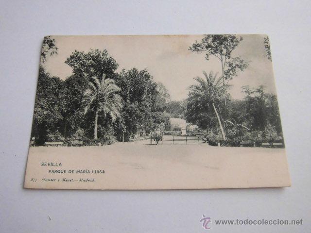 Postais: SEVILLAPARQUE DE MARIA LUISA  877 HAUSER Y MENET .-MADRID