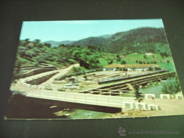 Postales: CAZORLA   (JAEN)  SIERRA DE CAZORLA   PISCIFACTORIA - Foto 1
