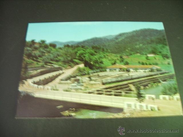 Postales: CAZORLA   (JAEN)  SIERRA DE CAZORLA Y PISCIFACTORIA - Foto 1