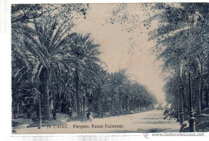 Postkarten: TARJETA POSTAL DE CADIZ. PARQUES. PASEO PALMERAS. N&ordm; 19.