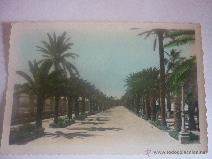 Postales: EL PUERTO DE SANTA MAR&Iacute;A. PARQUE CALDER&Oacute;N. CIRCULADA EN MARZO 1961