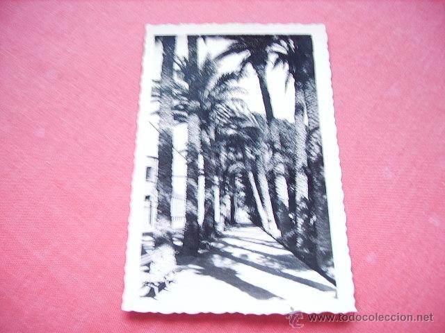 Postales: ALMERIA    PASEO DE SAN LUIS