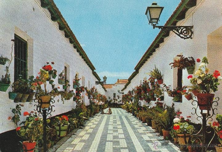 Postales: N&ordm; 13330 POSTAL MALAGA CALLE TIPICA